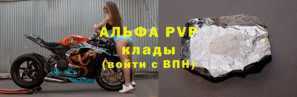индика Гусь-Хрустальный
