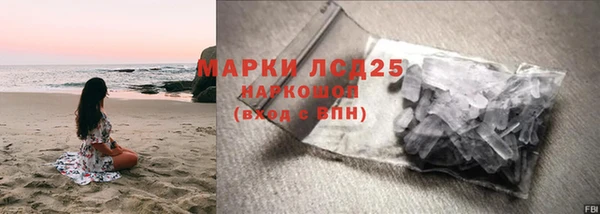 индика Гусь-Хрустальный