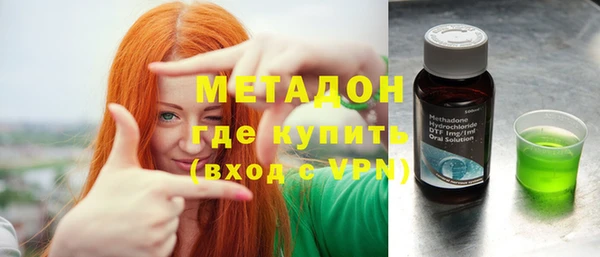 индика Гусь-Хрустальный
