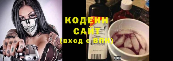 метадон Гусев