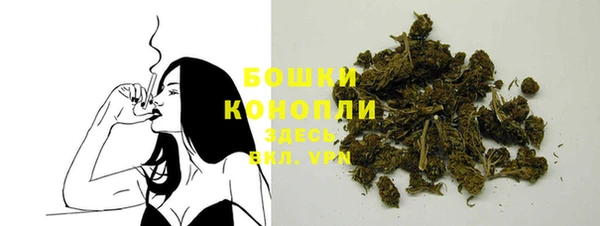 индика Гусь-Хрустальный