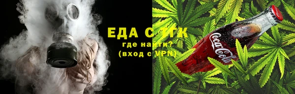 индика Гусь-Хрустальный