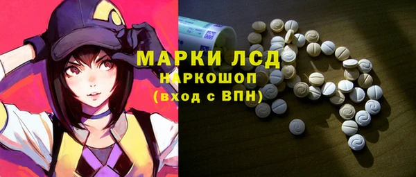 индика Гусь-Хрустальный