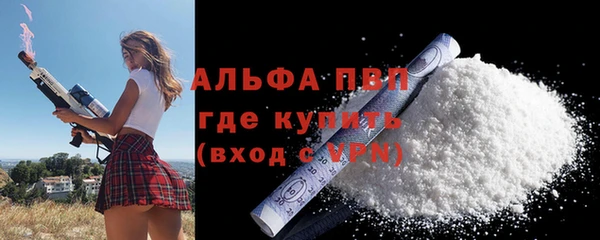индика Гусь-Хрустальный