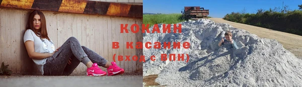 индика Гусь-Хрустальный