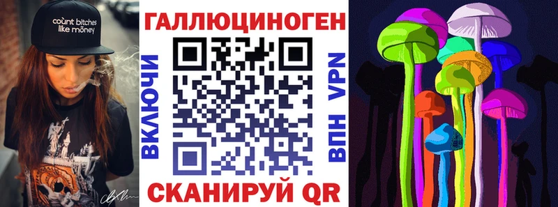 Галлюциногенные грибы Psilocybe  Стерлитамак 
